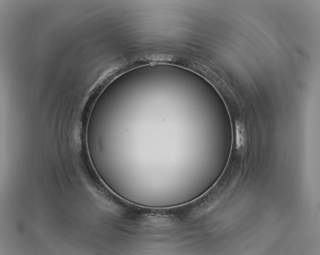 X0000113000300200909031259