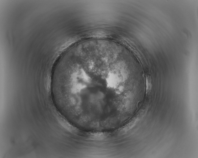 X0000113000301200909031259