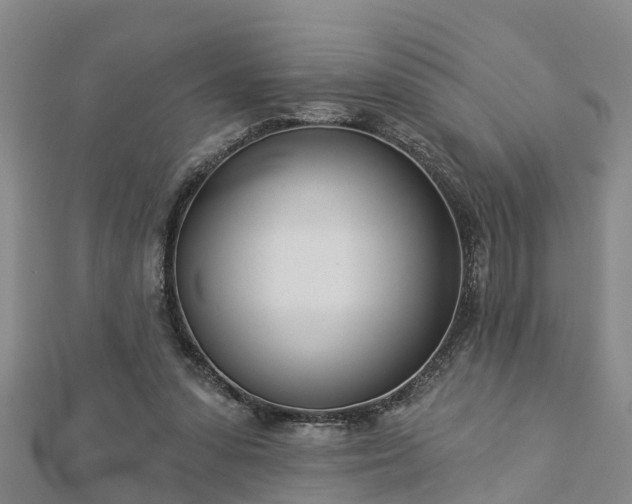 X0000113000303200909031259