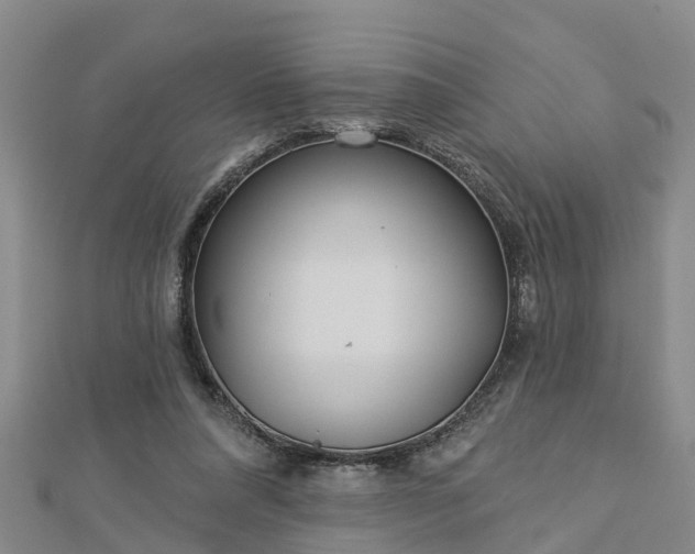 X0000113000304200909031259