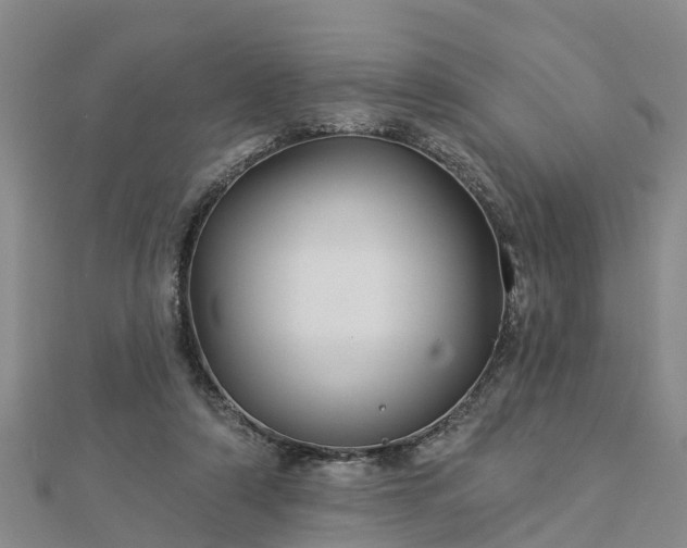 X0000113000306200909031259