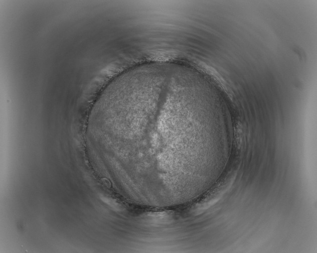 X0000113000307200909031259