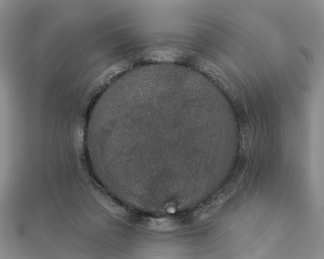 X0000113000309200909031258