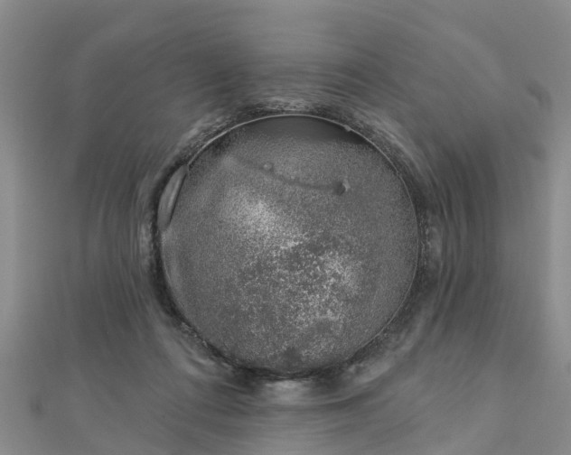 X0000113000312200909031258