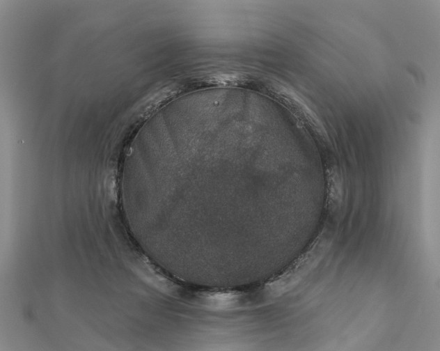 X0000113000313200909031258