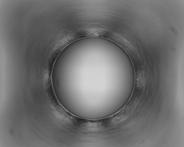 X0000113000314200909031258