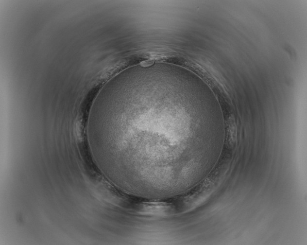 X0000113000316200909031258