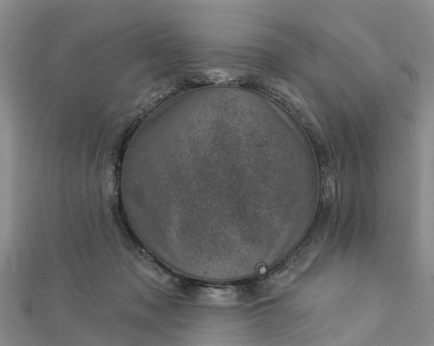 X0000113000317200909031258