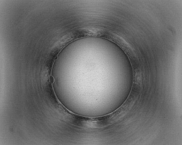 X0000113000318200909031258