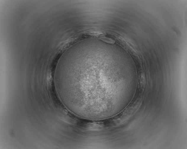 X0000113000320200909031258