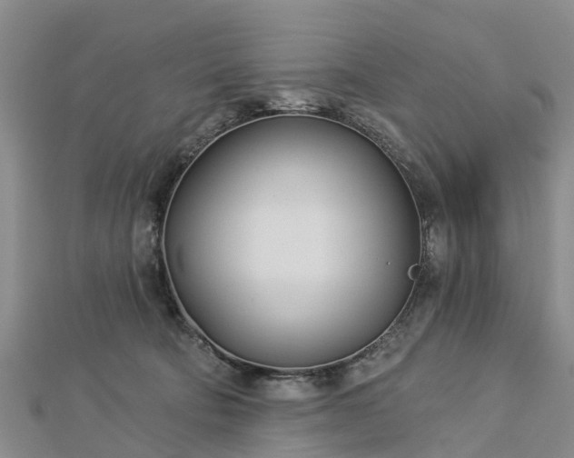 X0000113000322200909031258