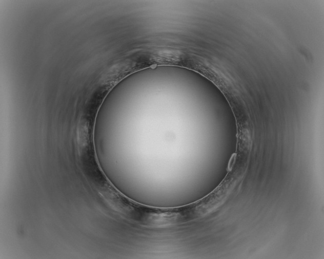 X0000113000323200909031258