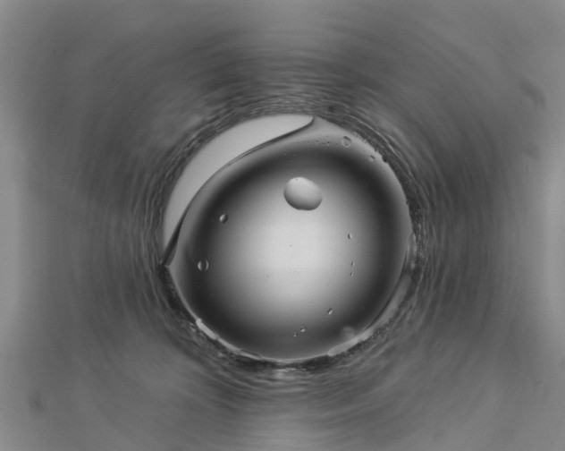 X0000113000324200909031258