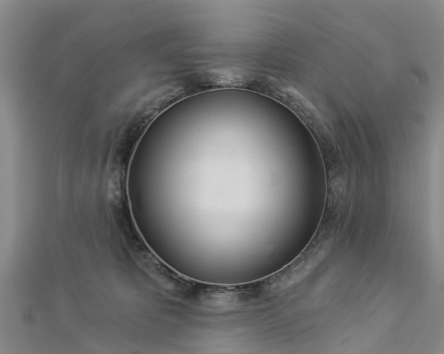 X0000113000325200909031258