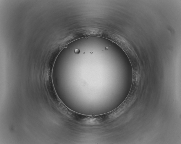 X0000113000326200909031258