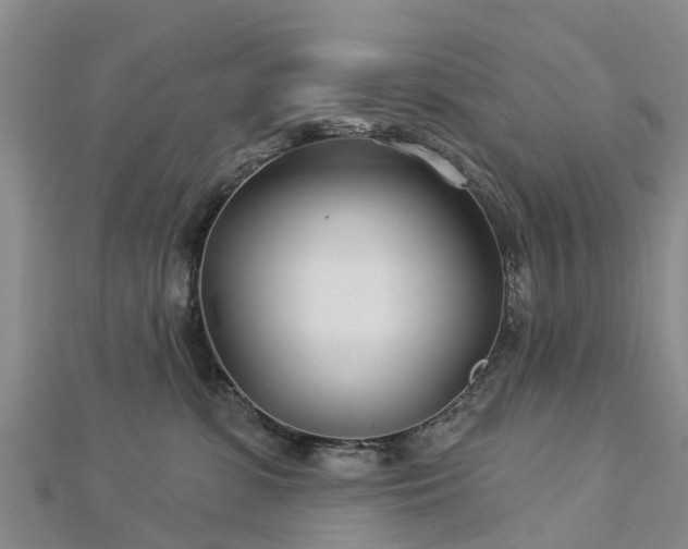 X0000113000331200909031258