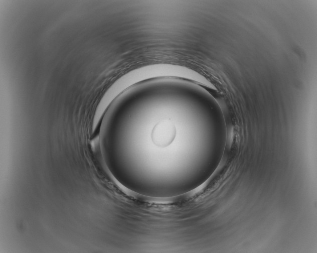 X0000113000332200909031258