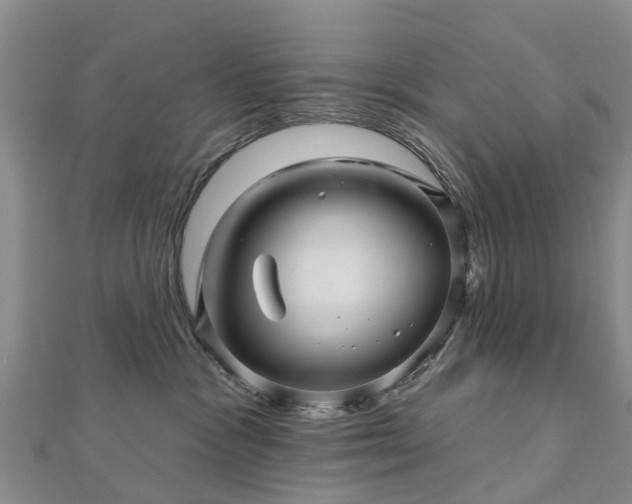 X0000113000333200909031258