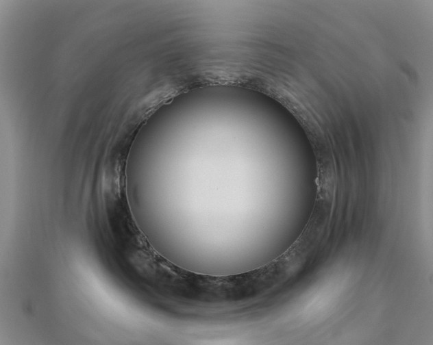 X0000113000334200909031258