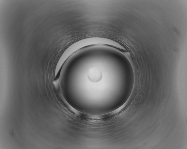 X0000113000336200909031258