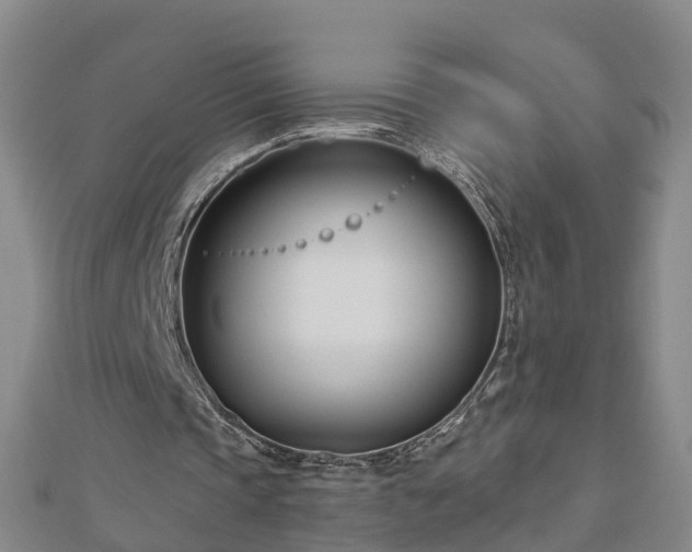 X0000113000337200909031258