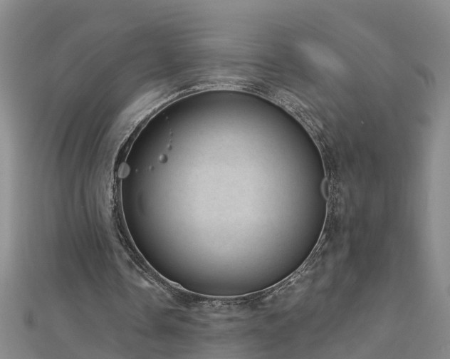 X0000113000338200909031258