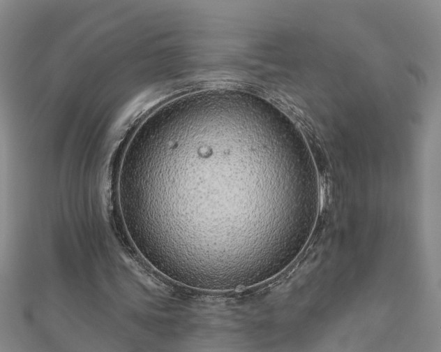 X0000113000339200909031258