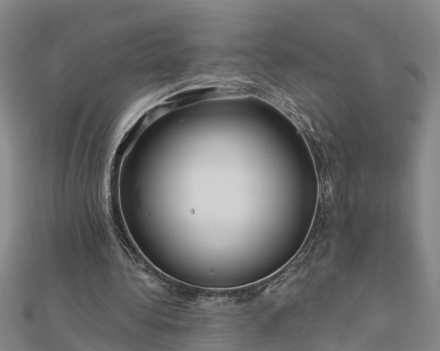 X0000113000340200909031258