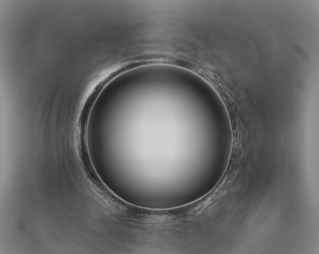 X0000113000342200909031258