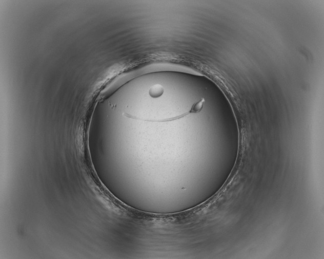 X0000113000345200909031258