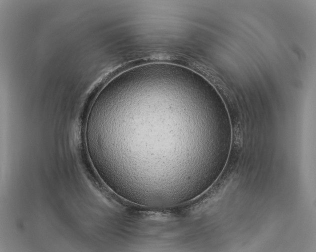 X0000113000347200909031258