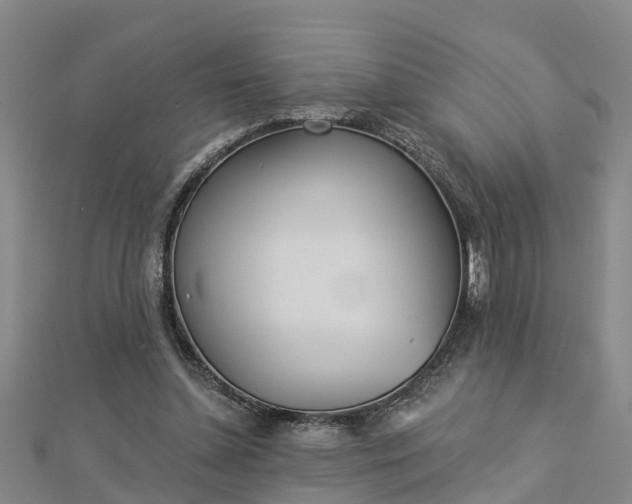 X0000113000348200909031258