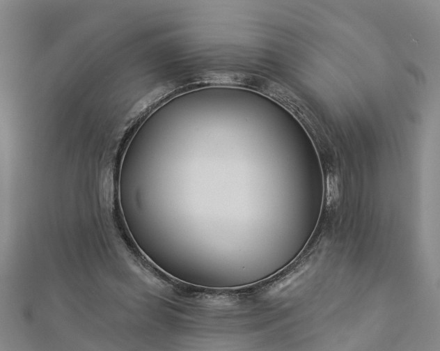 X0000113000349200909031258