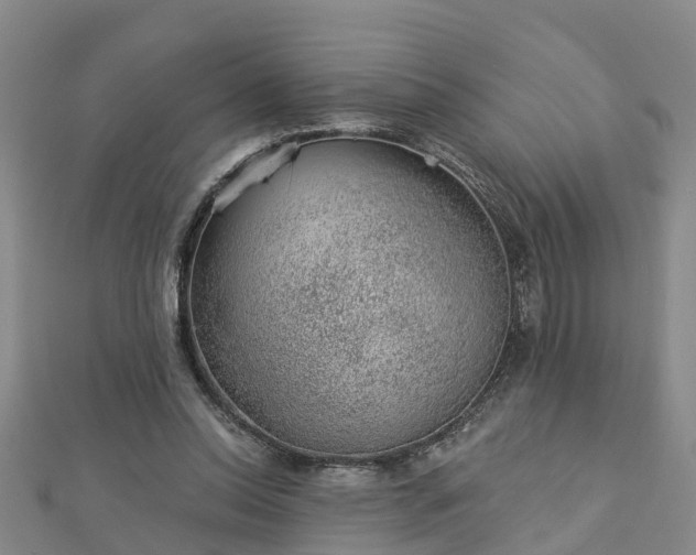 X0000113000350200909031258