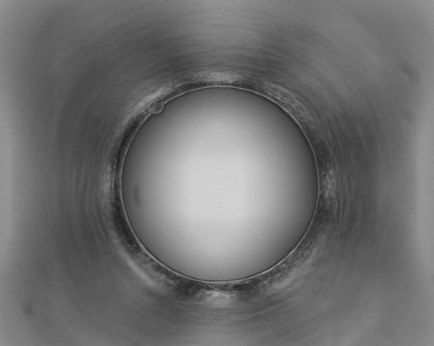 X0000113000352200909031258