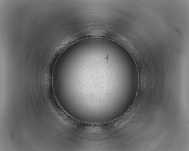 X0000113000354200909031258