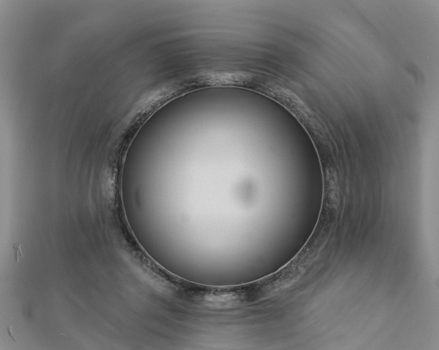 X0000113000357200909031258