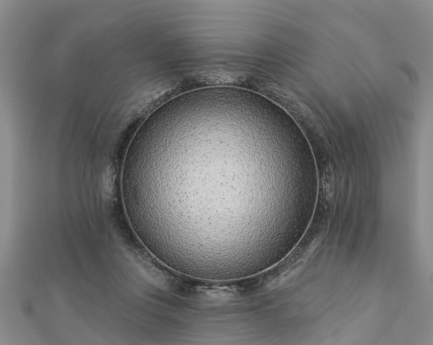 X0000113000359200909031258