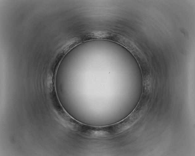 X0000113000360200909031258