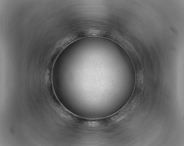 X0000113000361200909031258