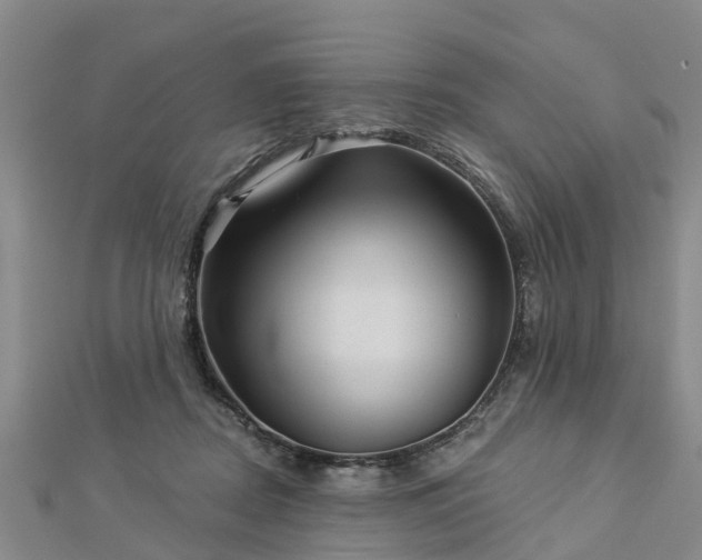 X0000113000362200909031258