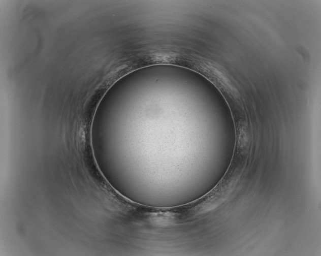 X0000113000363200909031258