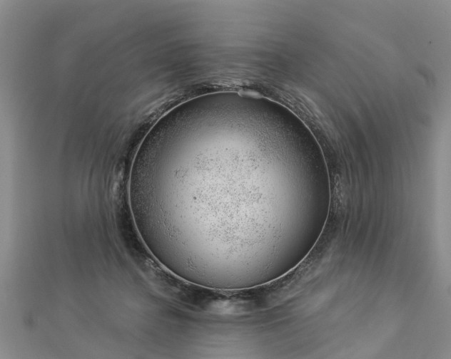 X0000113000364200909031258