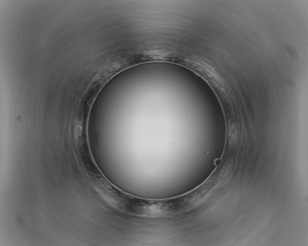 X0000113000365200909031258