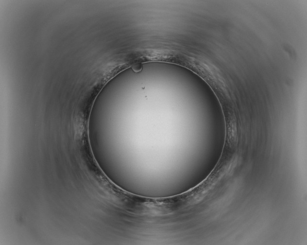 X0000113000367200909031258