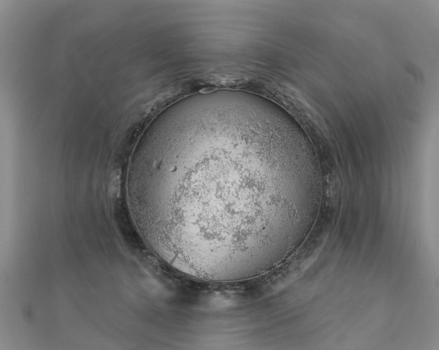 X0000113000368200909031258