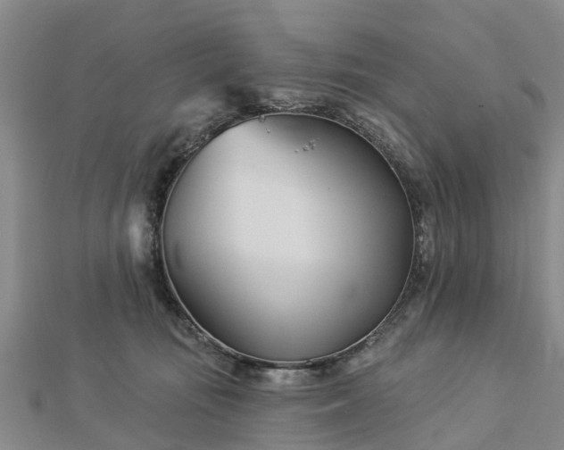 X0000113000371200909031258