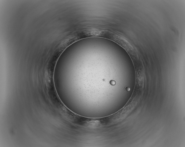 X0000113000374200909031258