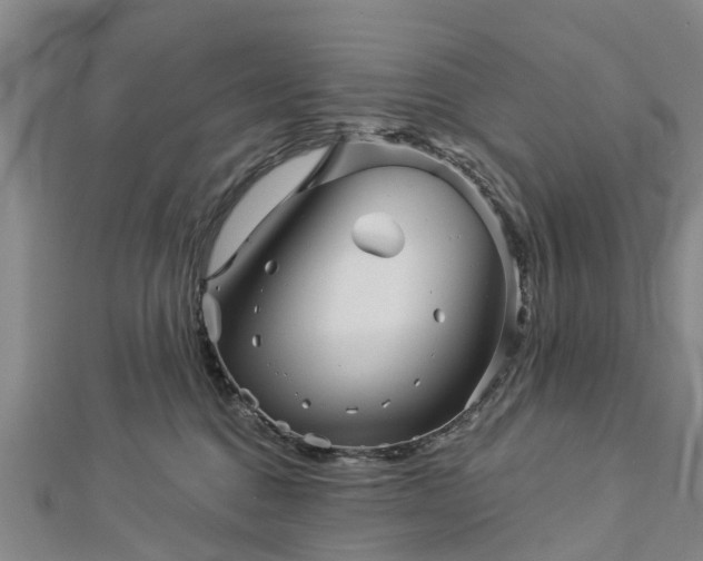 X0000113000376200909031258