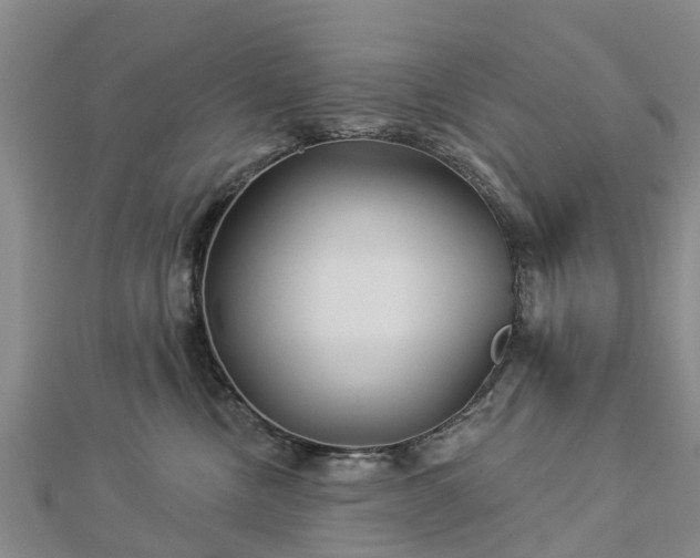 X0000113000378200909031258